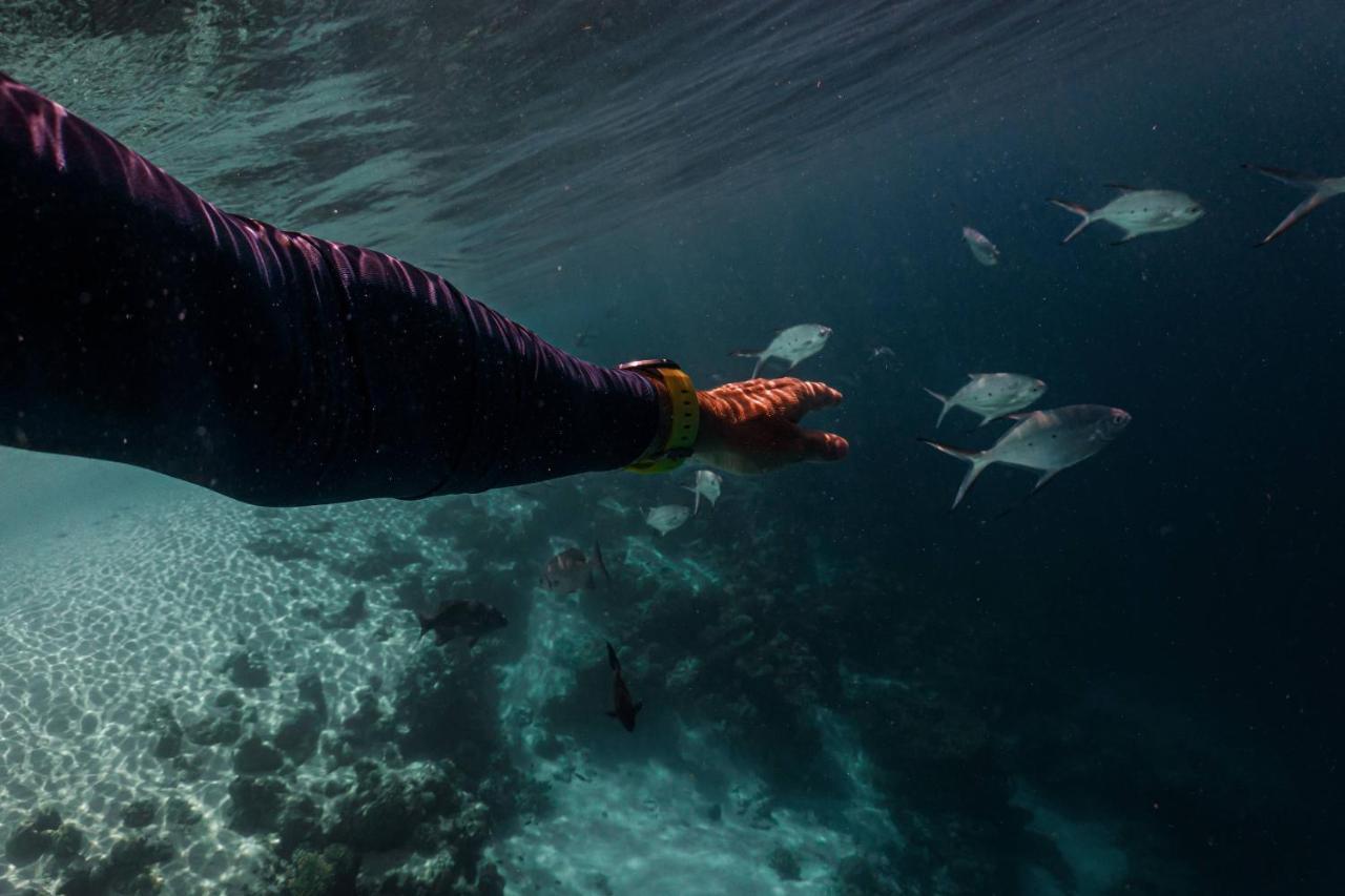 Sun Siyam Iru Veli - 24 Hours Premium All-Inclusive With Free Transfers Hulhudheli Exterior foto